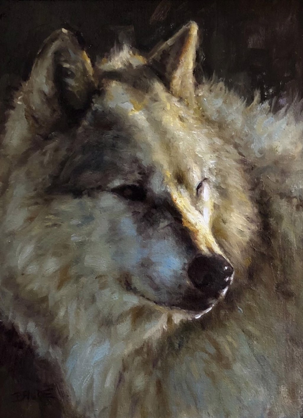 WHITE WOLF PORTRAIT by Virginie Baude