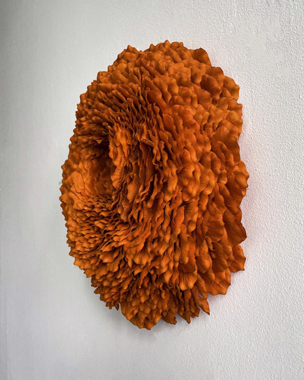 Lichen 5 by Molly Gambardella