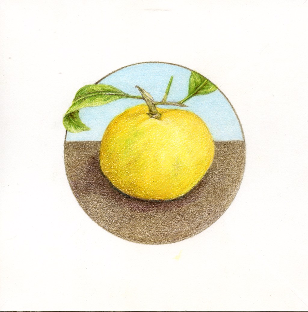 Satsuma by Mary Lee Eggart