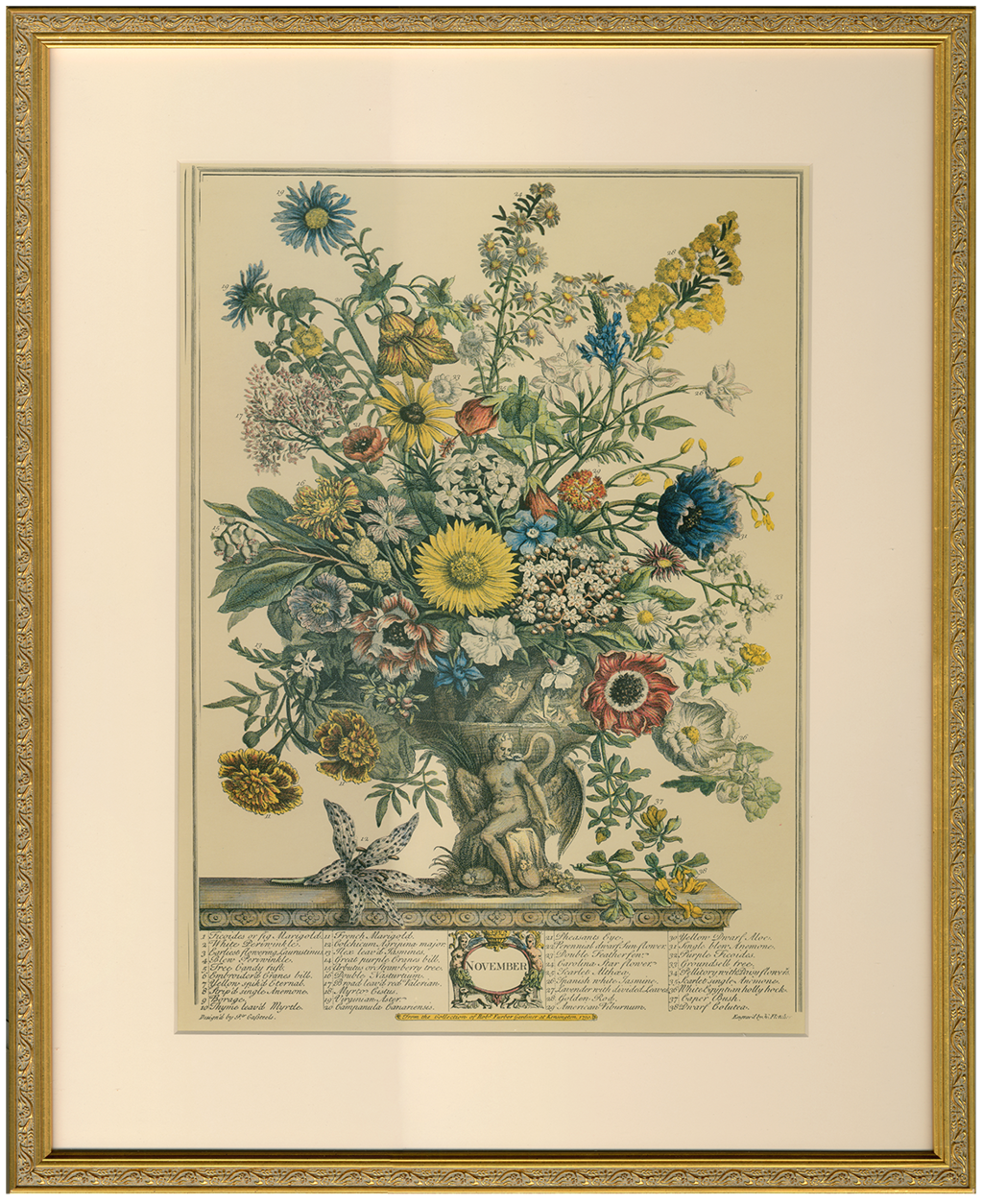 Twelve Months of Flowers from the Collection of Robert Furber