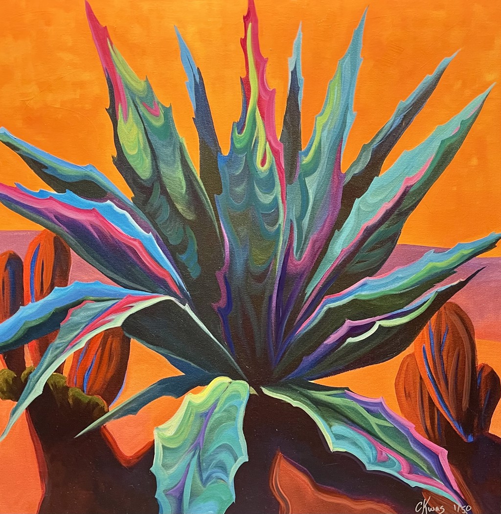 alocasia black stem zebrina Alocasia Zebrina black stem – Gipsygarden main image 1