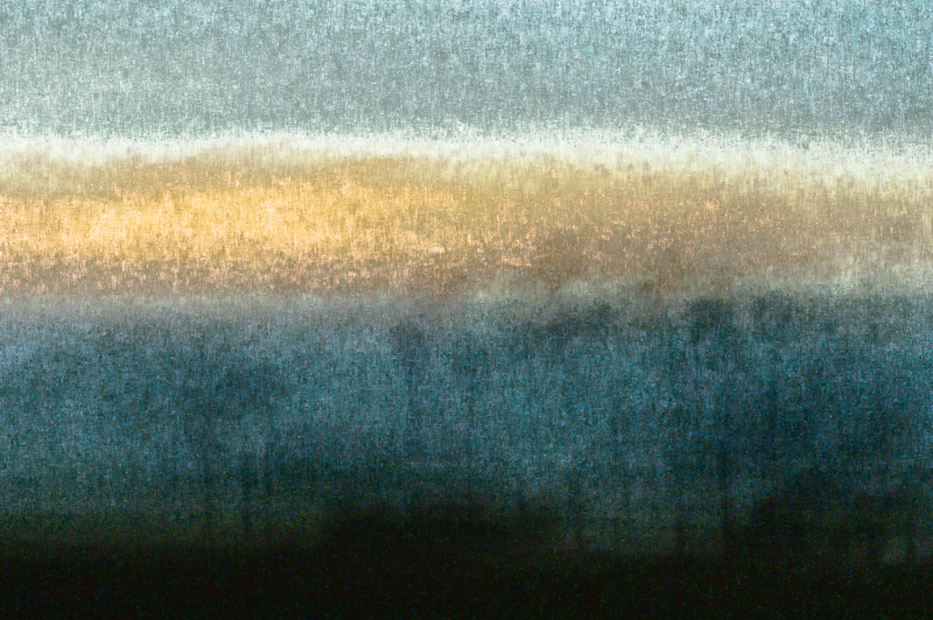 Costal number L1064004 by Sol Hill