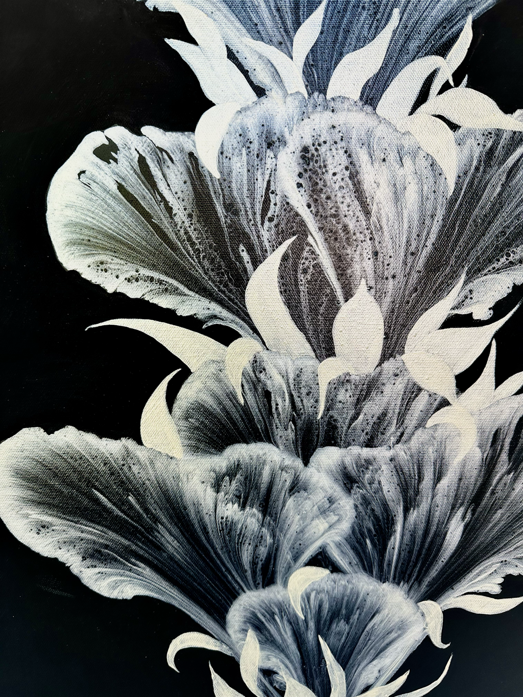 Transparency II by Lilah Jo Whitfield