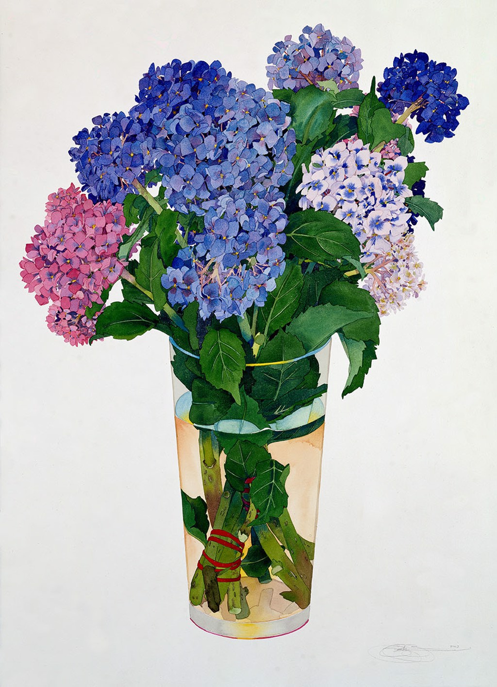 Hydrangea: San Francisco Symphony by Gary Bukovnik | Andra Norris