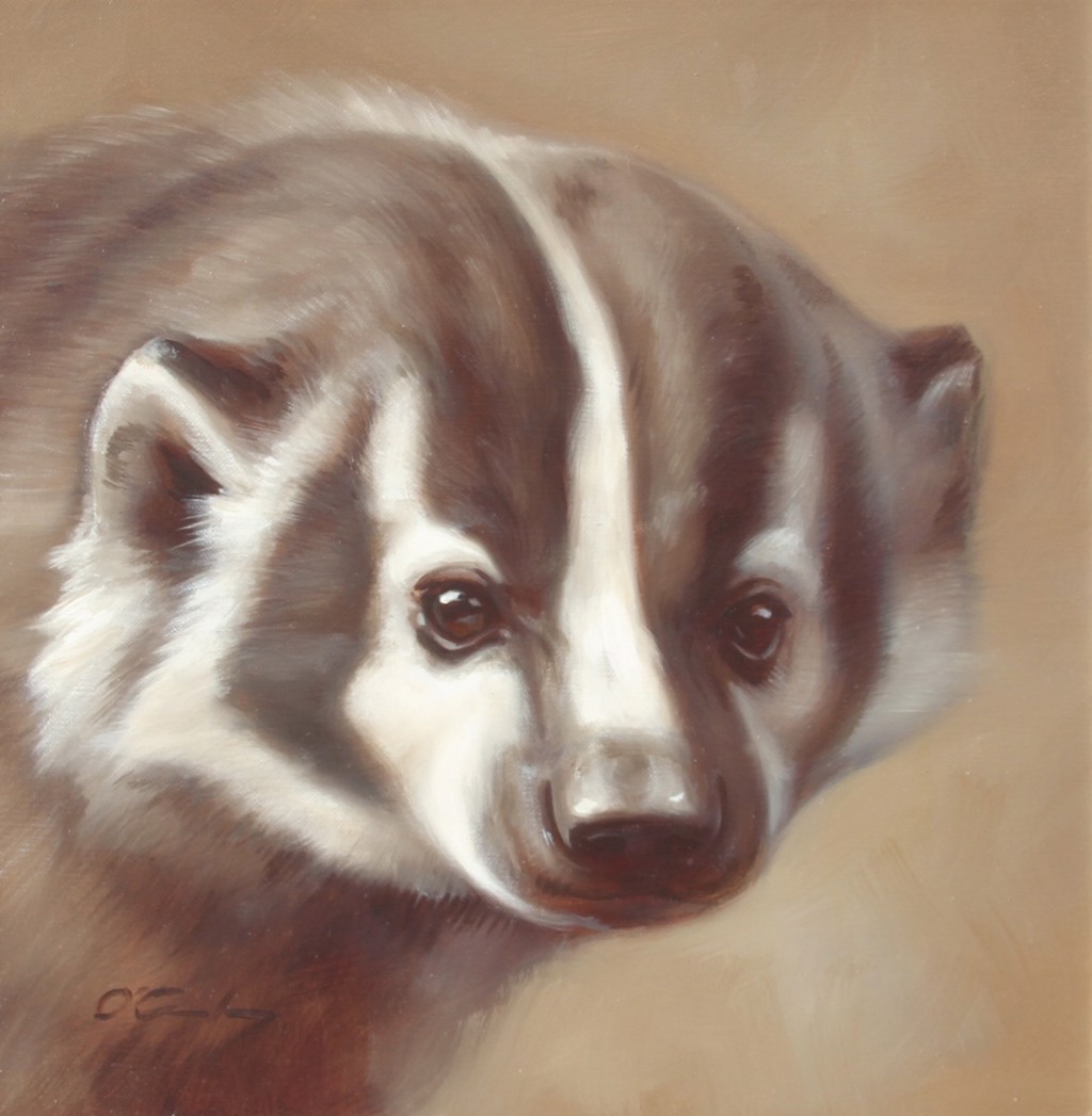 The Softer Side by Jennifer O'Cualain