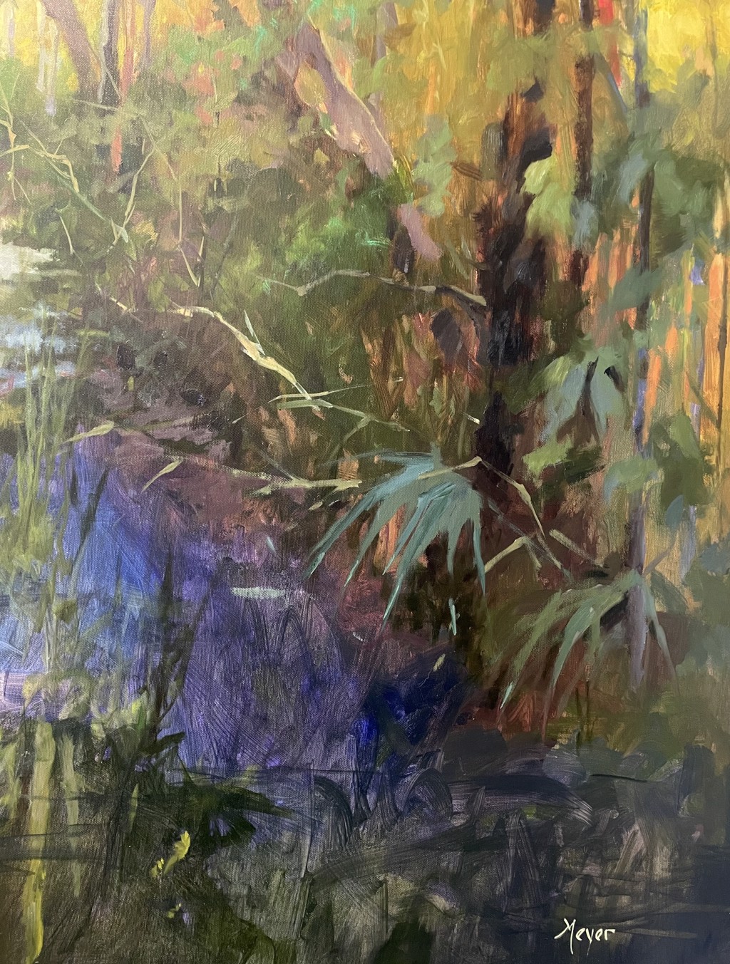 High Tide, Low Light by Laurie Meyer