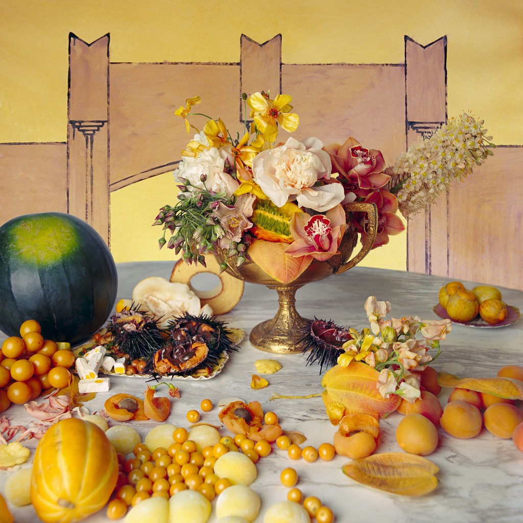 Still Life with Sea Urchin by Denise Prince