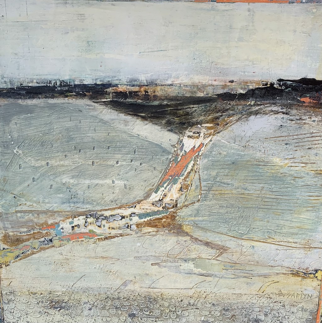 Rio Medio by Dominique Samyn