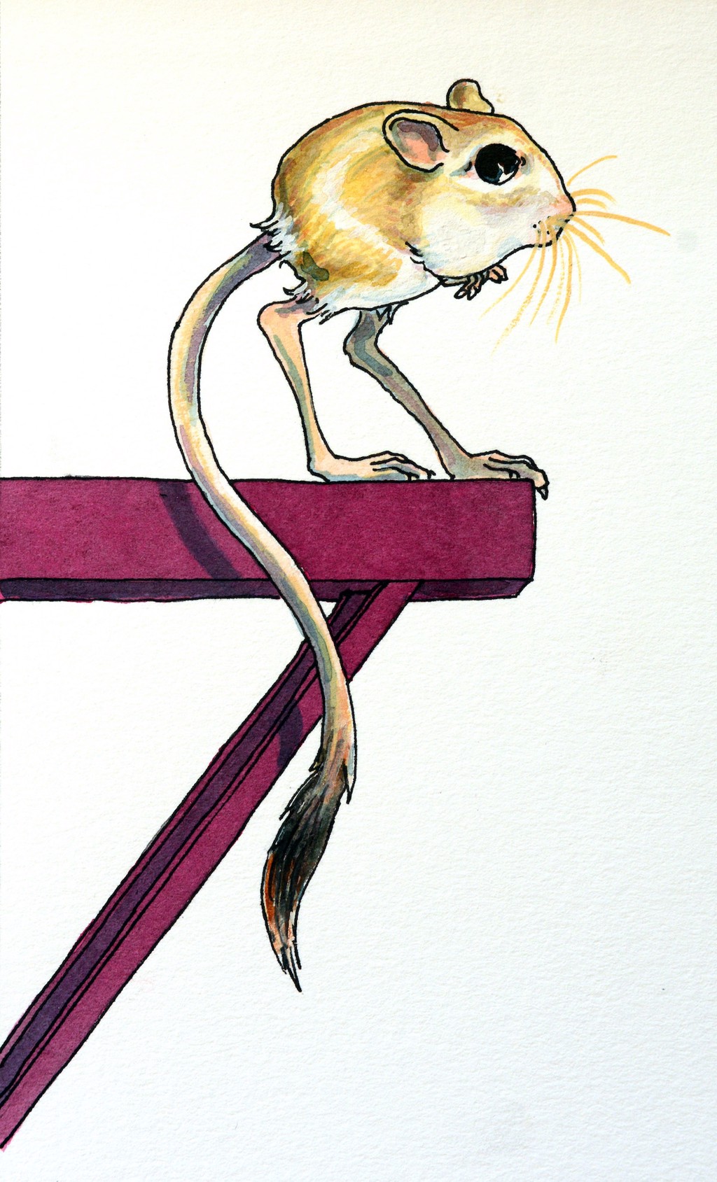 Pygmy Jerboa by Roxie Munro | Simie Maryles Gallery, image size:1024x1689