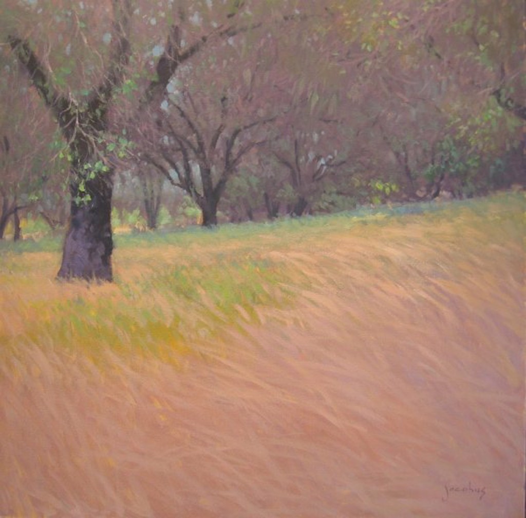 Sonoma Oaks by Jacobus Baas