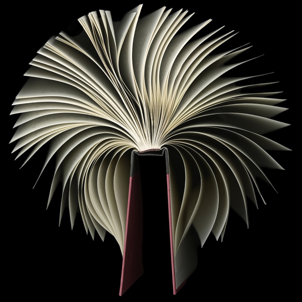 Elegy by Cara Barer