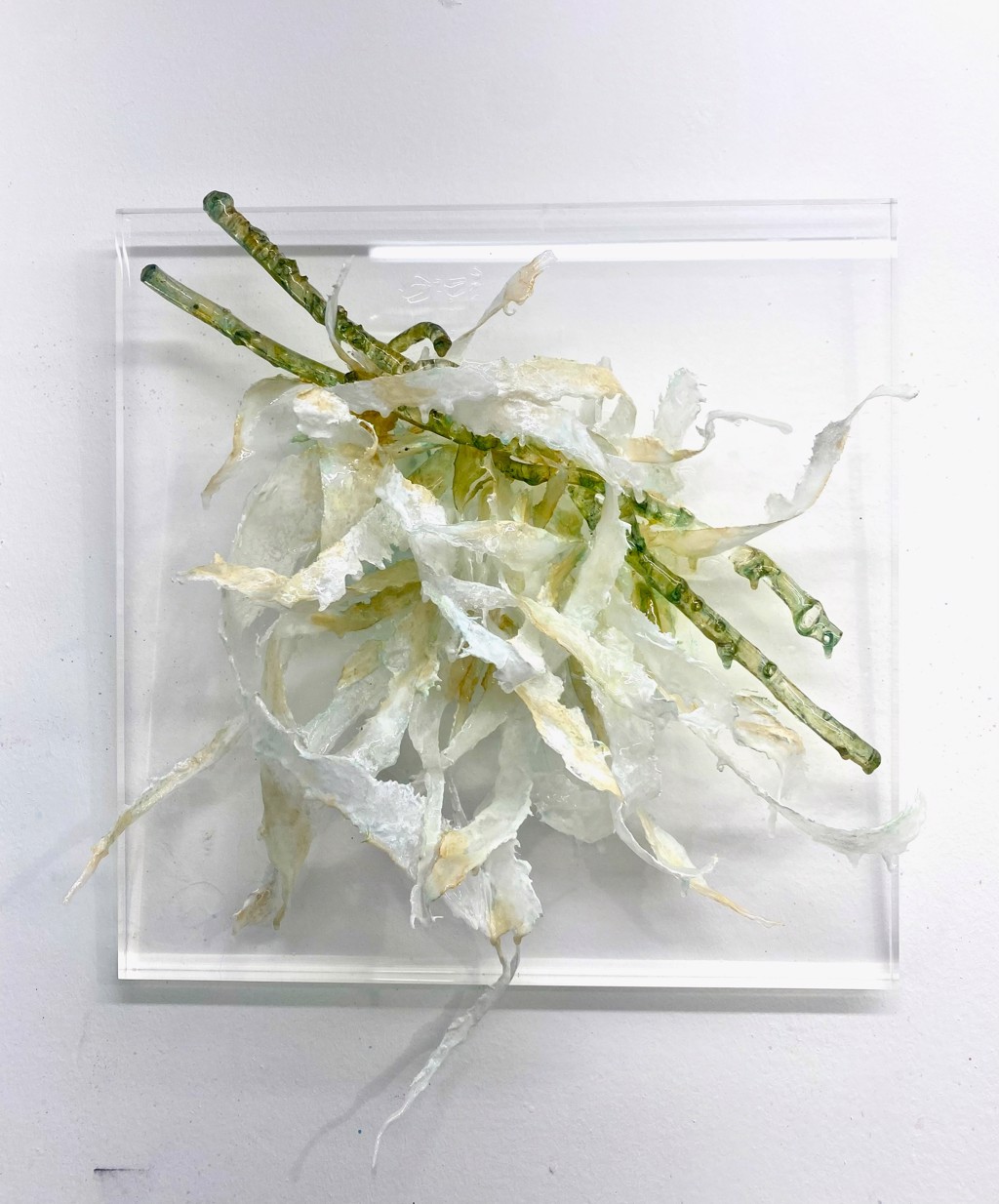 My Flower by Julia Alejandra Gentile