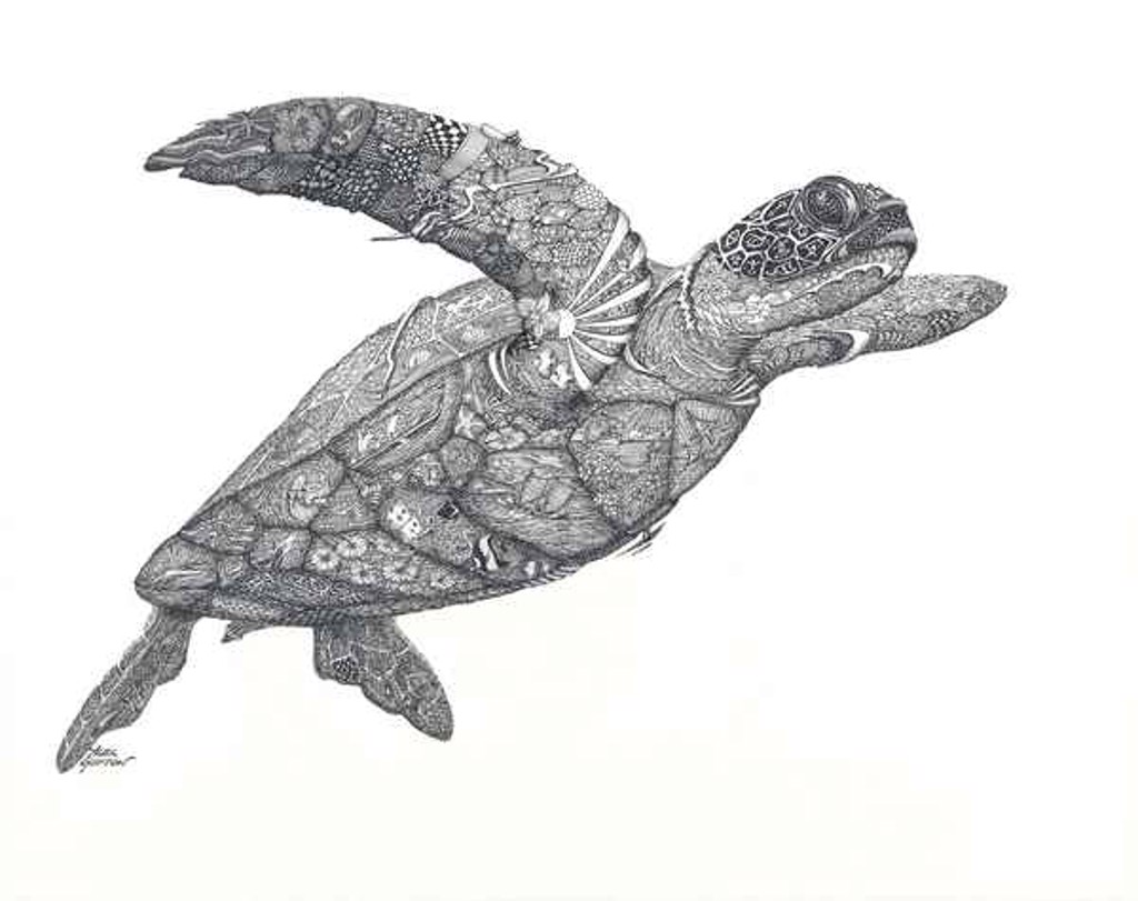 Honu by Alex Gupton
