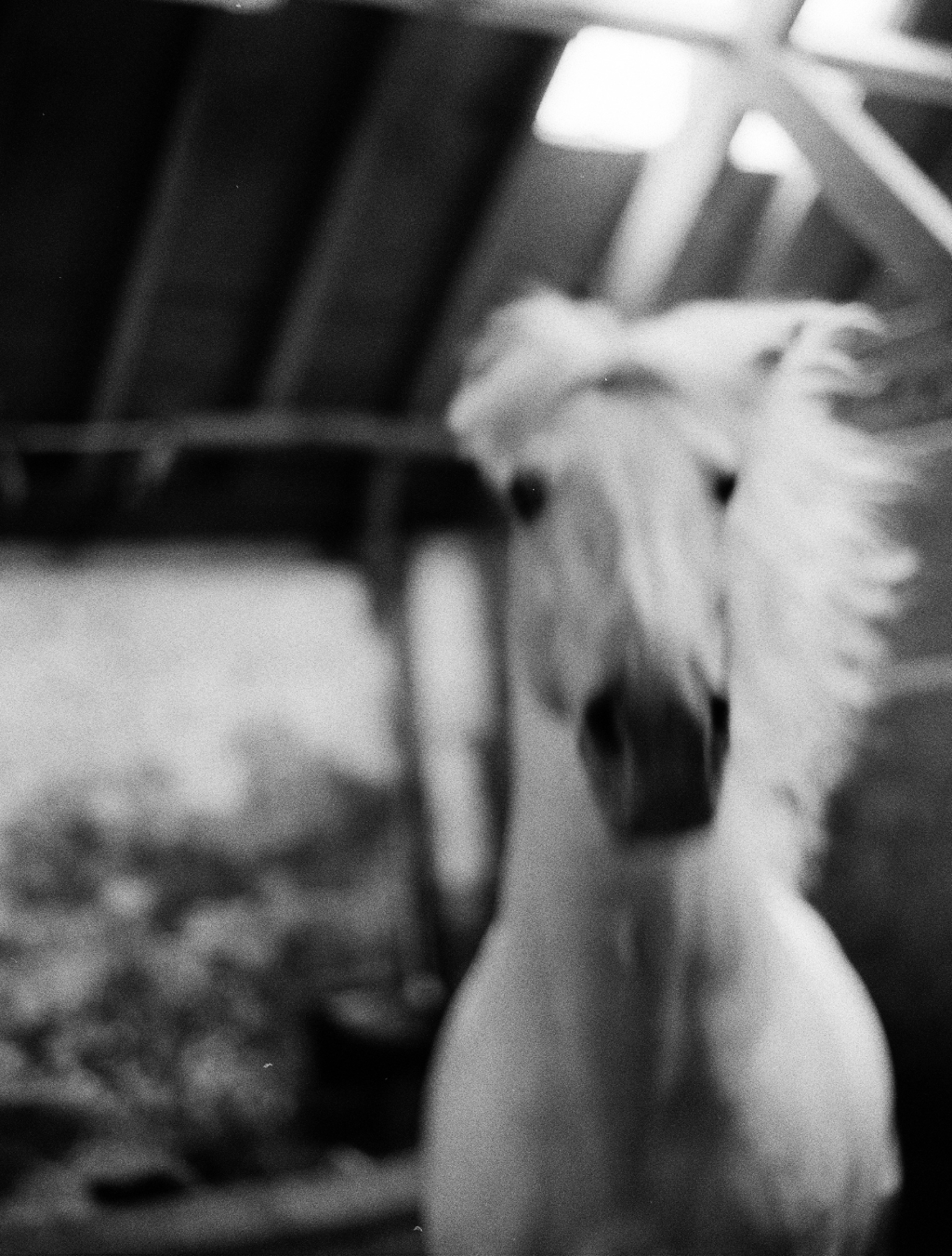 Untitled by Constance Jaeggi