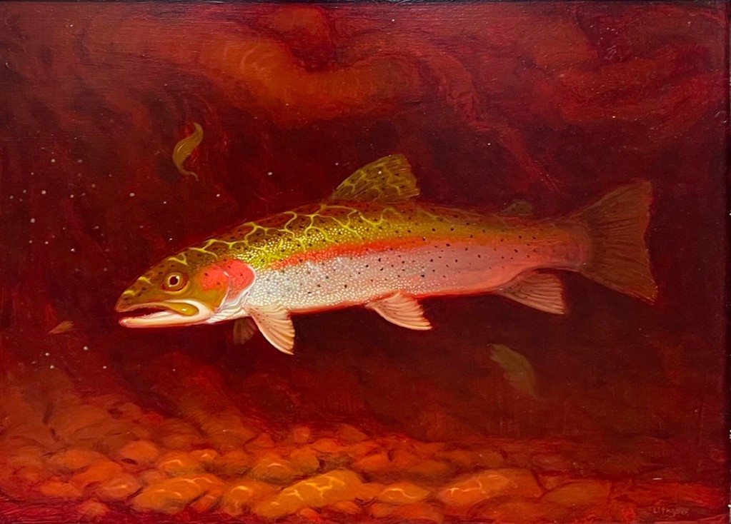 Rainbow Trout II by Richard Lithgow