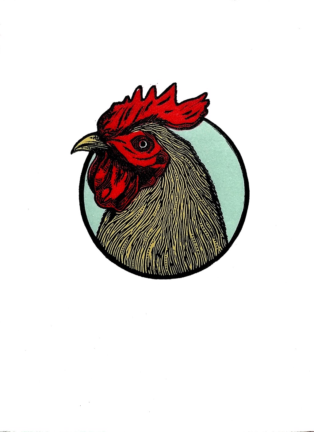 Gallo by Jose Luis Vasquez