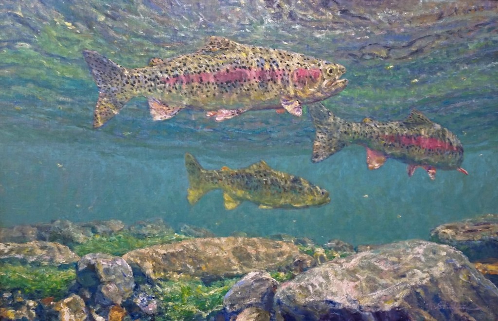 Yellowstone Cutthroat Trout | Engbretson Underwater Photography
