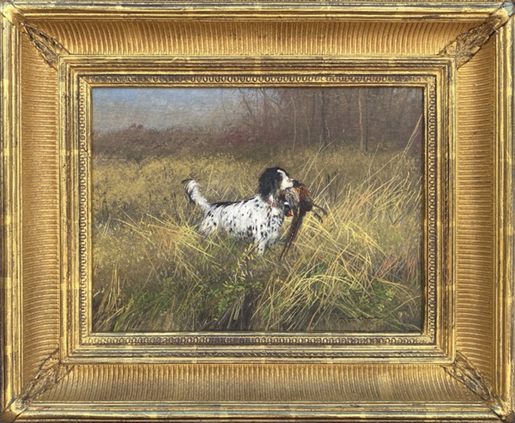English Setter by Michael Coleman