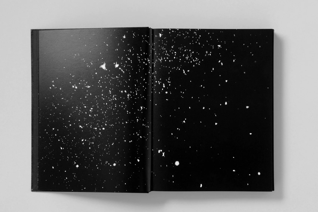 Monument | Trent Parke by STANLEY/BARKER | Blue Raven Gallery