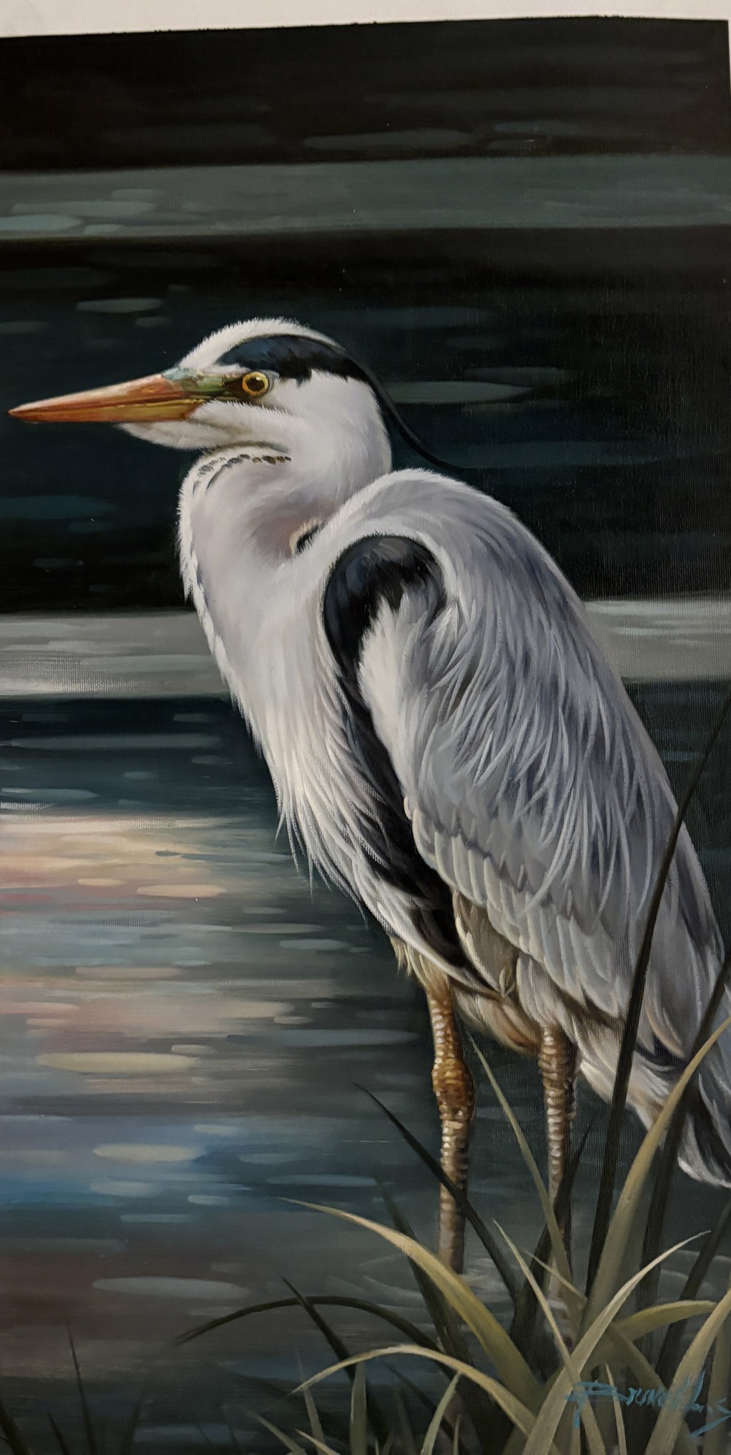 BLUE HERON LOOKING LEFT by BRUNELLY