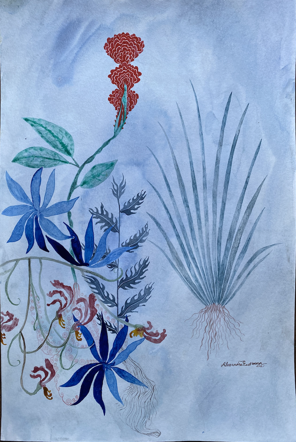 Herophile’s Garden by Alexandra Eastburn