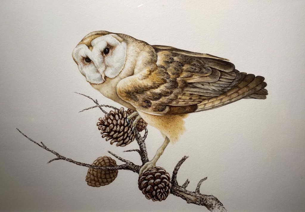 Wah? by Gail Reeves | Carmel Art Association