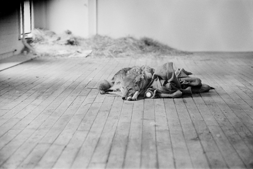 Untitled No. 1 by Stephen Aiken