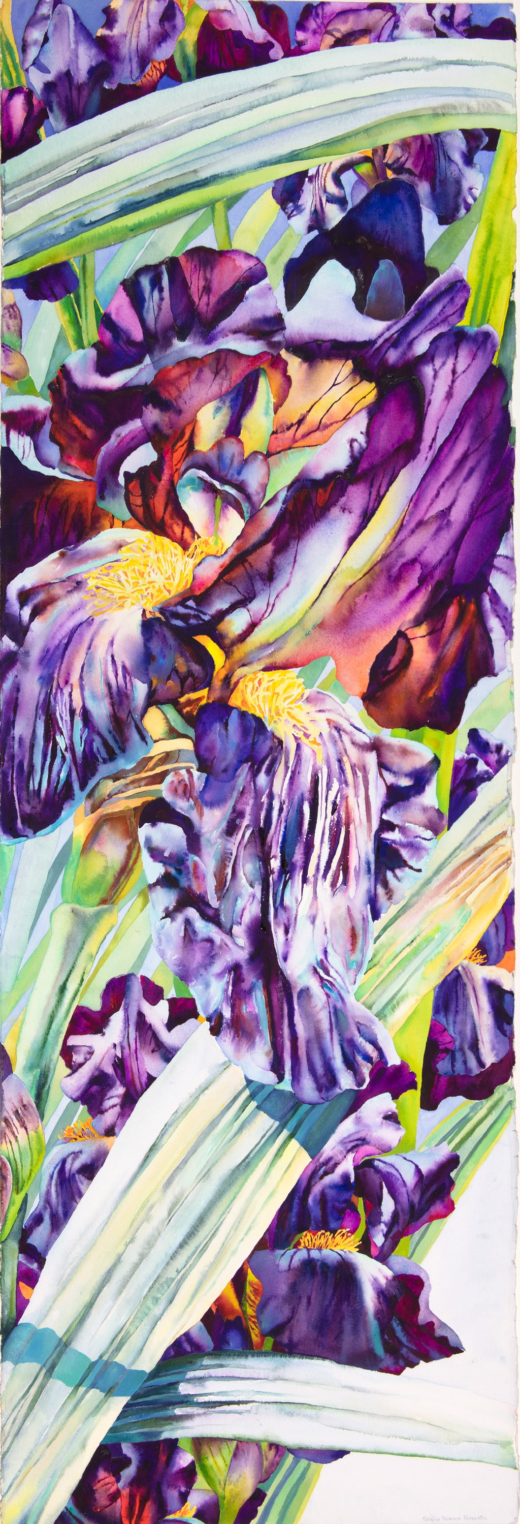 patricia tobacco forrester art Zed by Patricia Tobacco Forrester