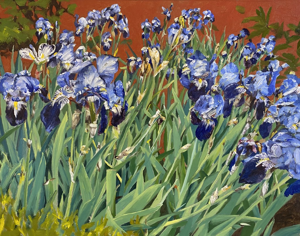 Irises by Malou Flato