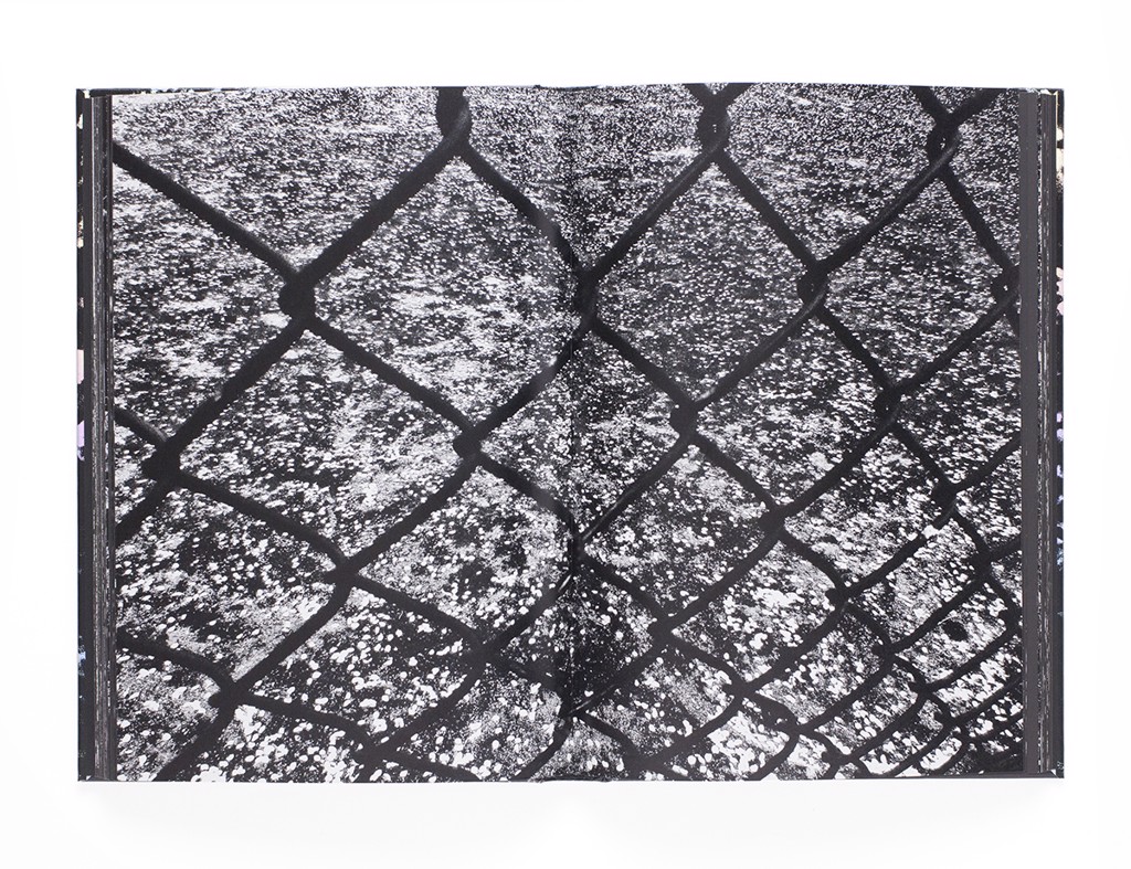 Daido Moriyama: Ango サイン入り Daido Moriyama: Ango (SIGNED
