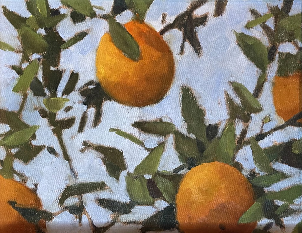 Oranges by Steve Andrews