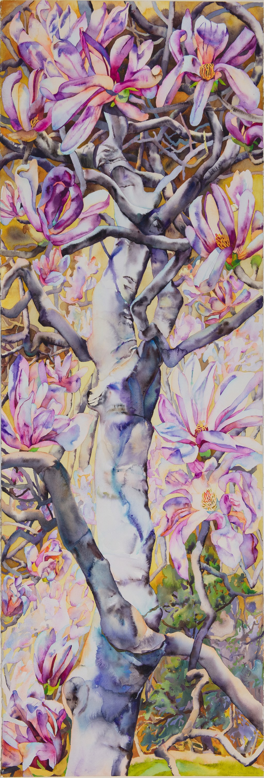 patricia tobacco forrester art Magnolia Spine by Patricia Tobacco Forrester