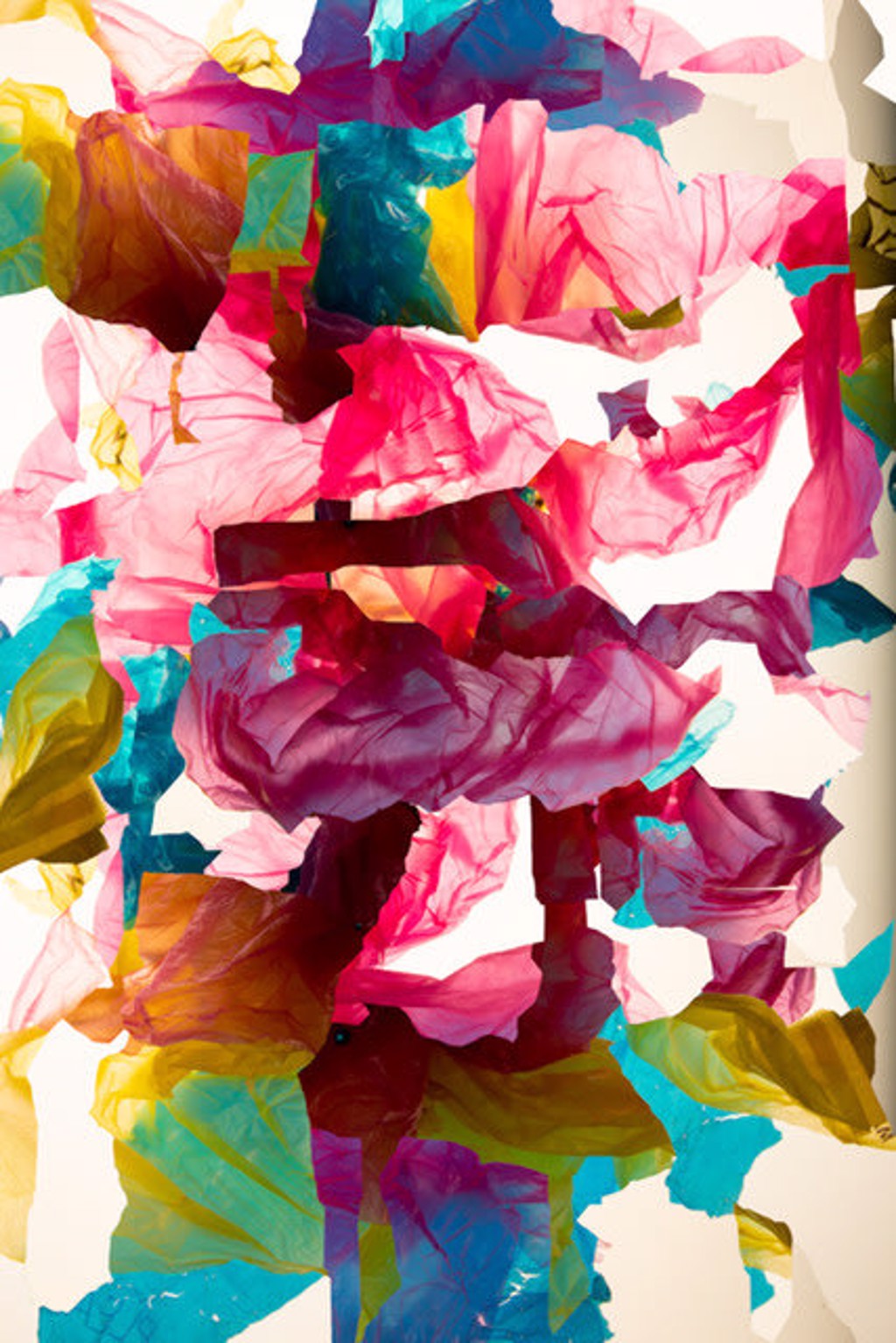 Arguments with a surface V by Naomi White