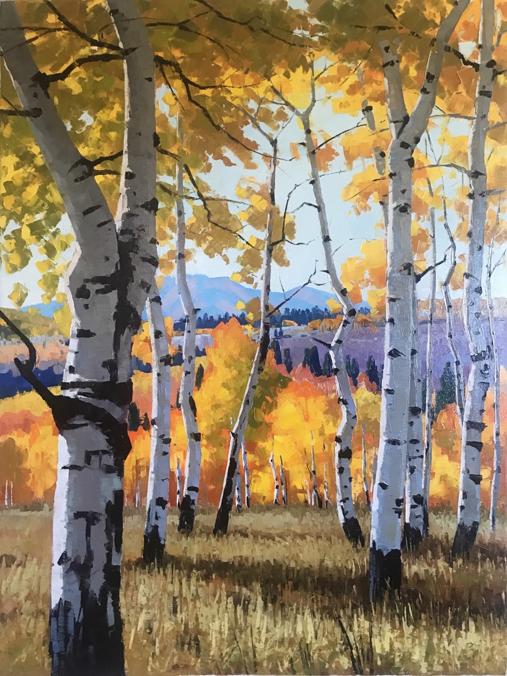 Distant Ridges by Douglas Aagard | The Marshall Gallery