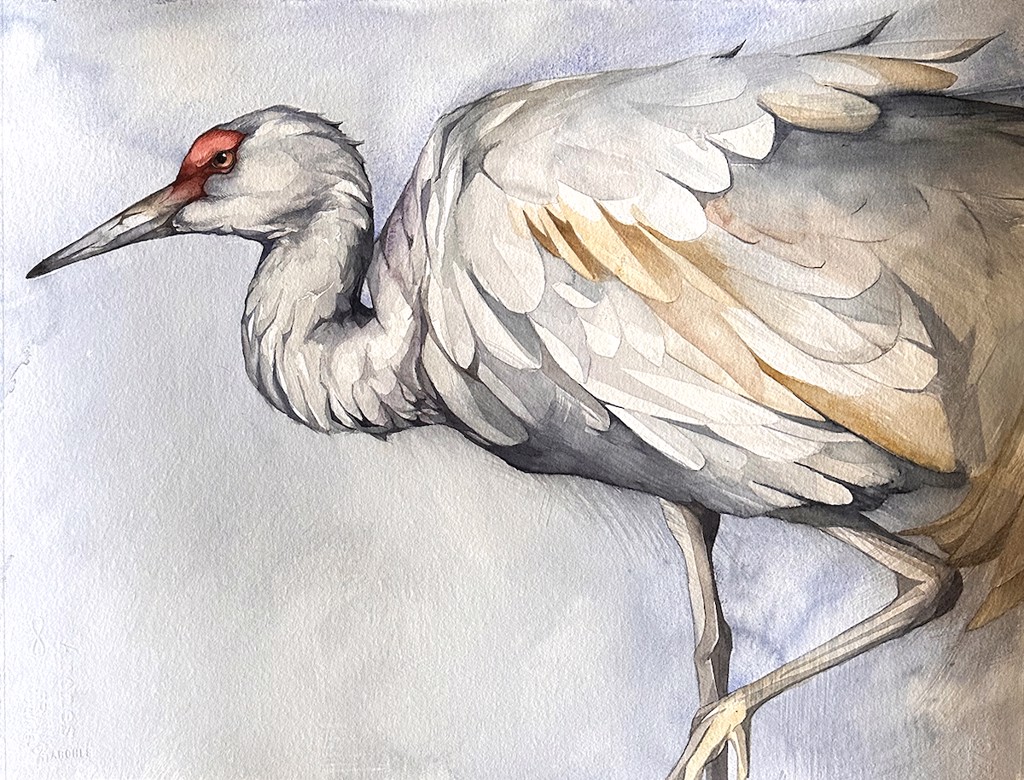 Silver Solace (Sandhill Crane) by Jennifer Anderson
