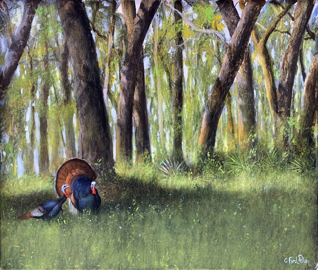 Turkeys by C. Ford Riley