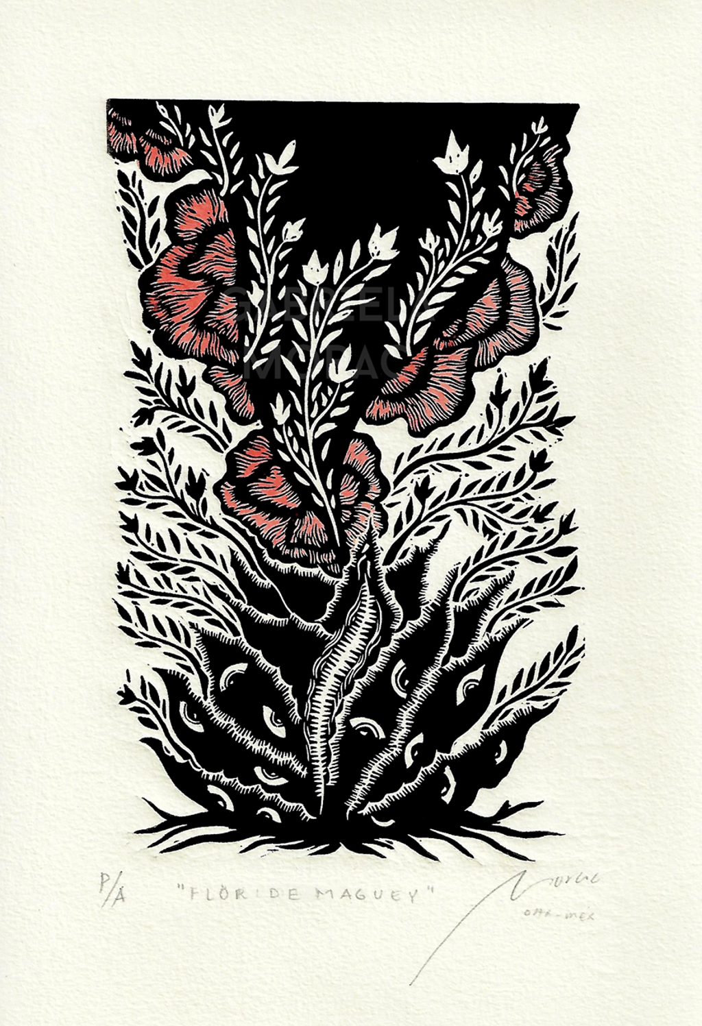 Flor de Maguey by Gabriela Morac