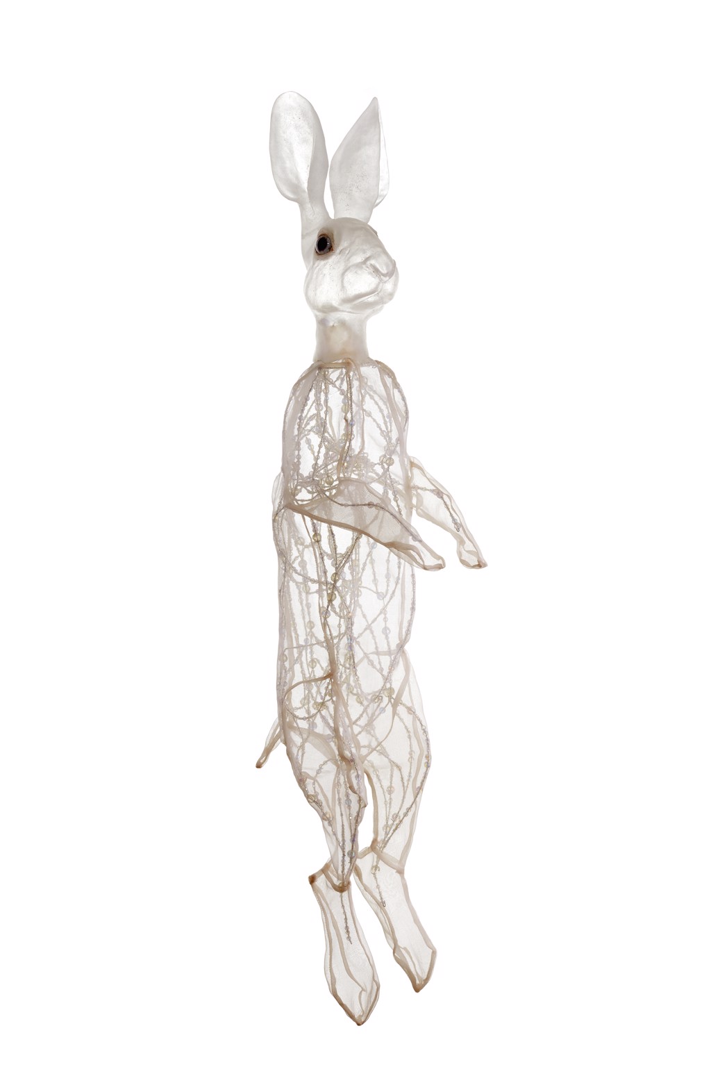 Kami Rabbit Rabbit Kami: Visible Light of the Universe by Deborah Simon | The CAMP ...