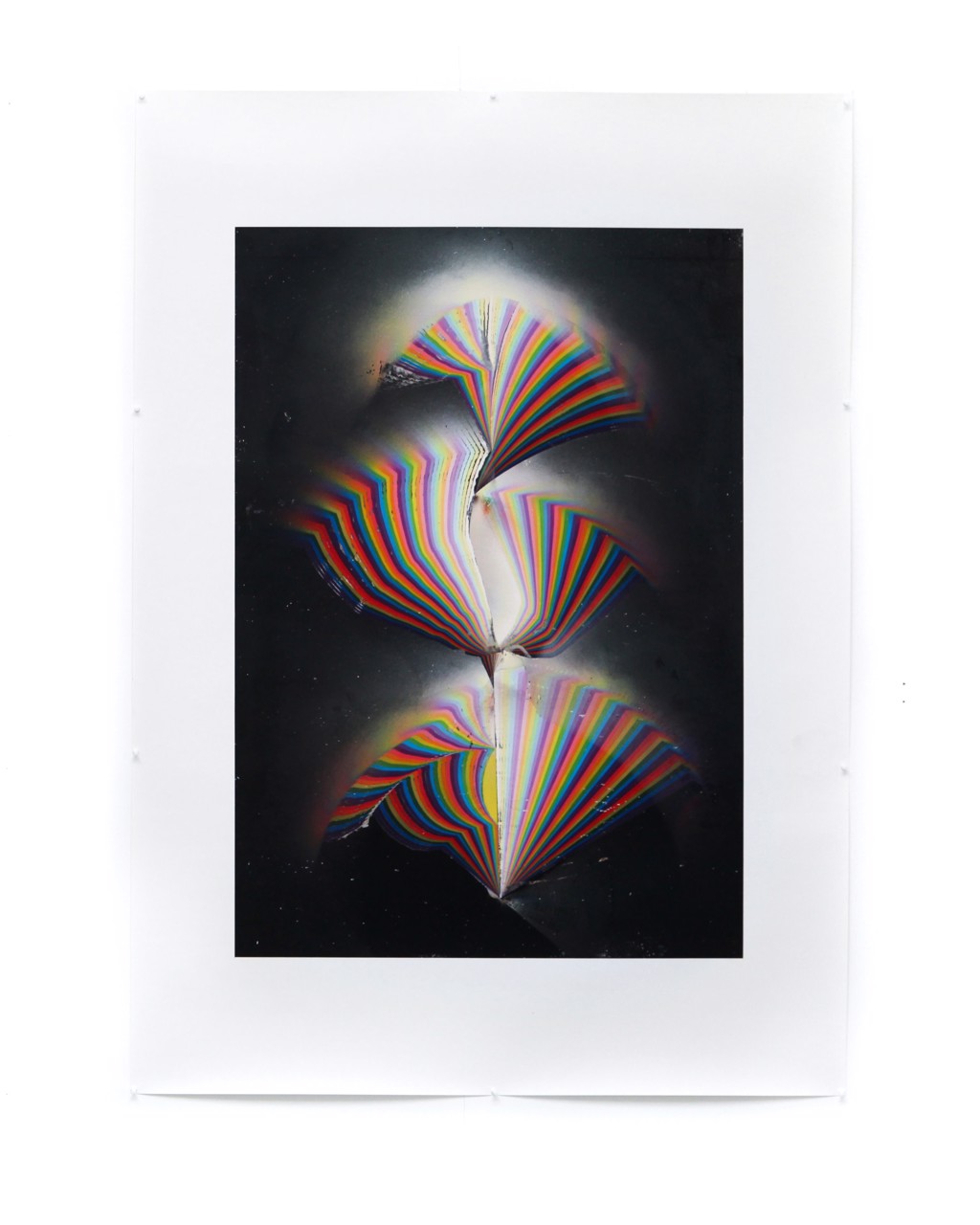 Rainbow Tree II by Jacob Wolff
