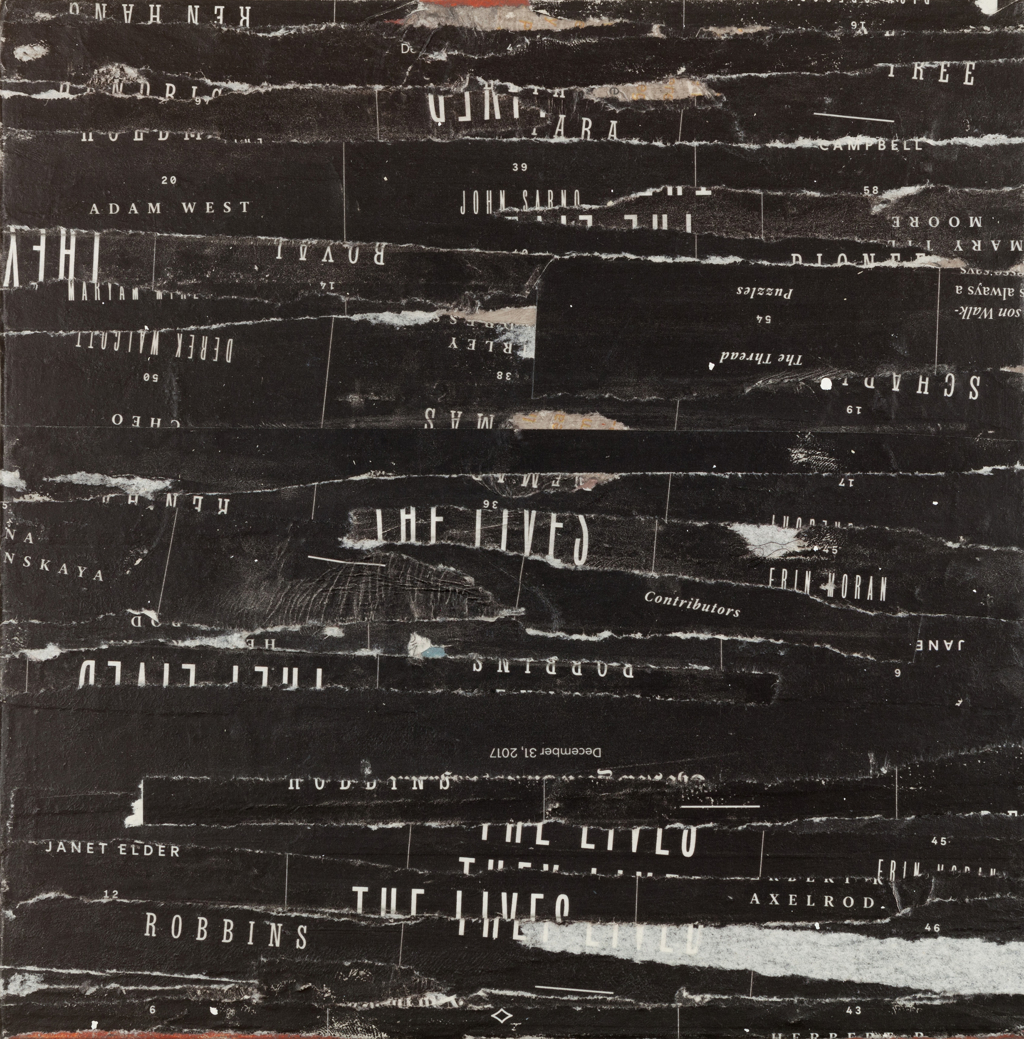 The Lives They Lived  by Aimée Farnet Siegel
