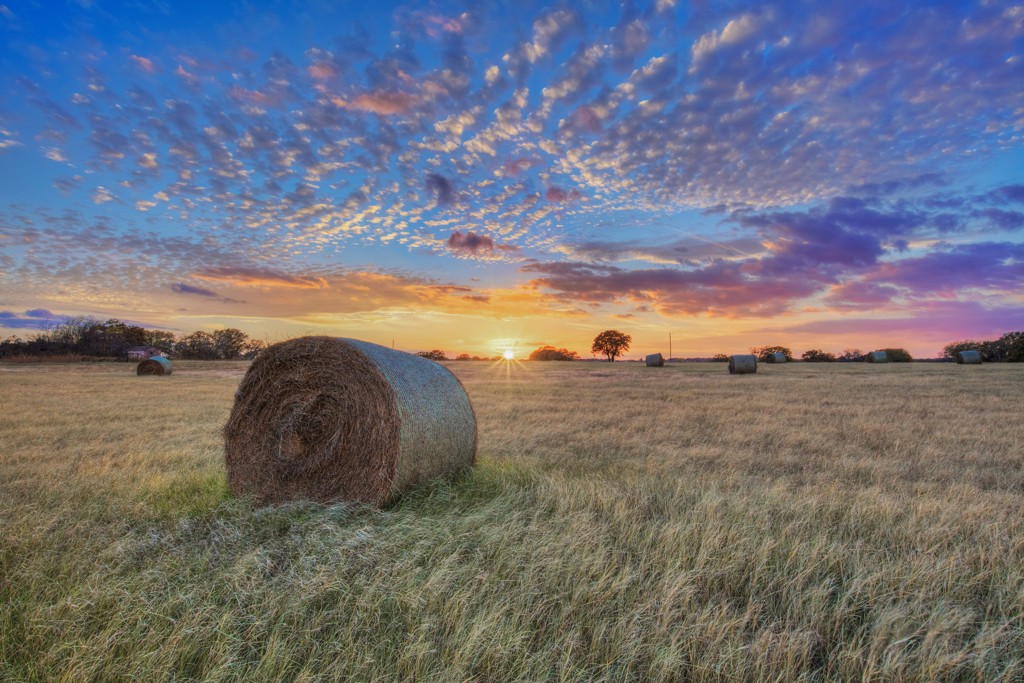 Sunset over Texas Hay Bales by Rob Greebon | Washington Gallery