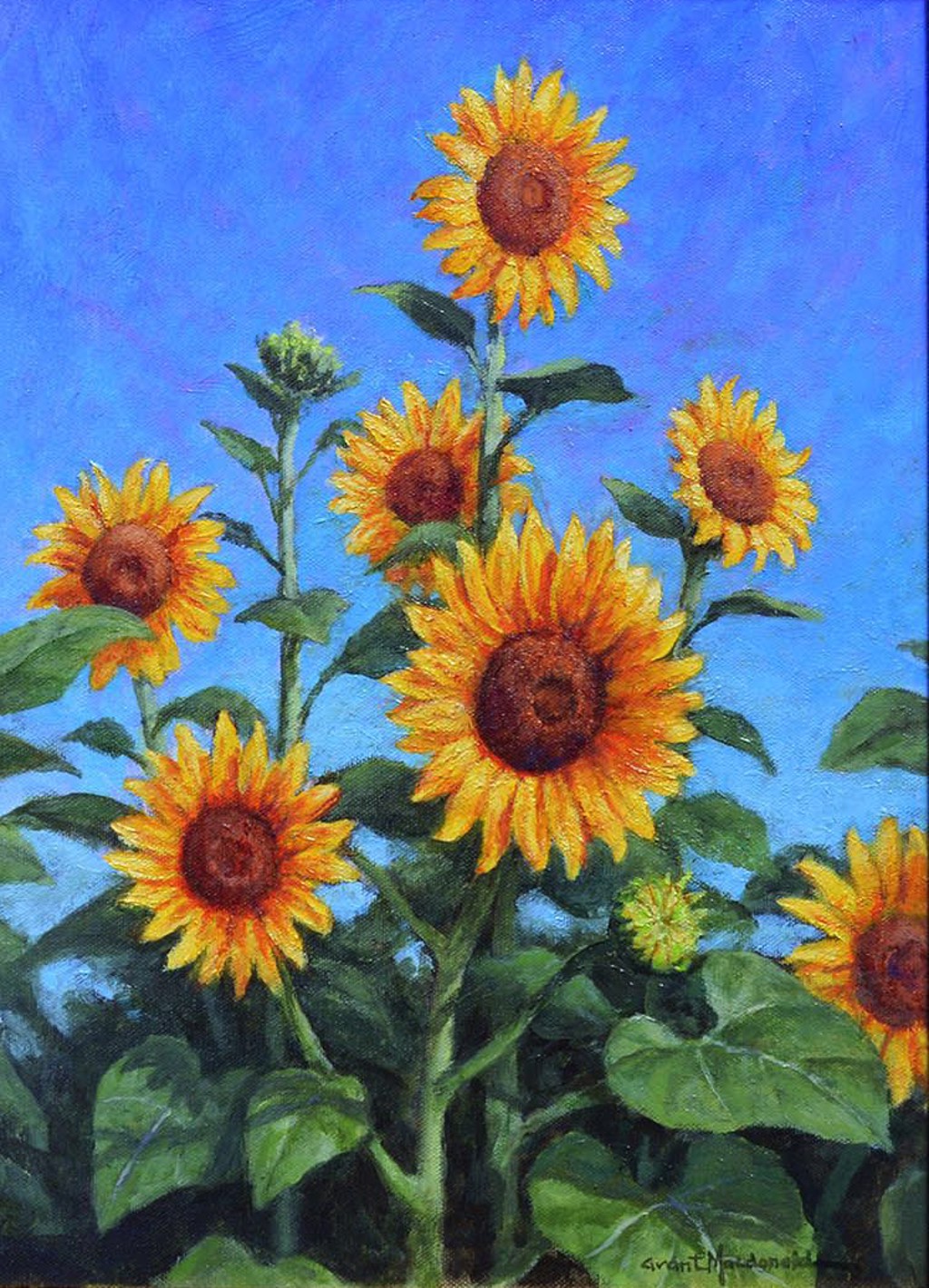 Soaking Up the Sun by Grant Macdonald