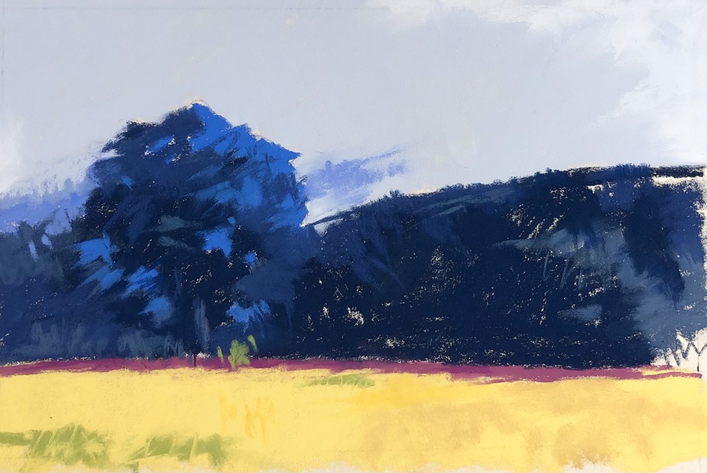 Pure Color Mike Kelly Clear View by Mike Kelly | J Petter Galleries
