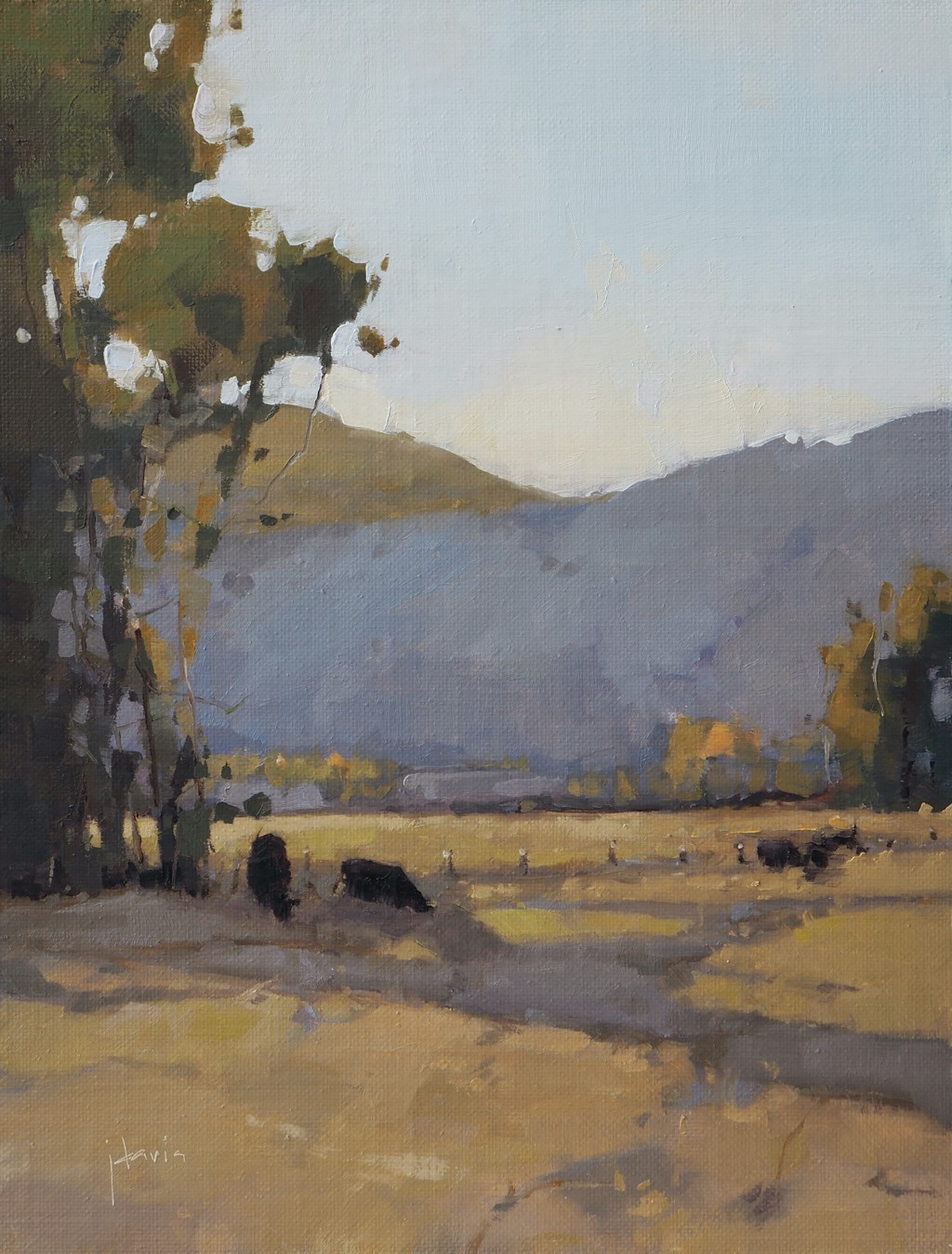 The Figures of the Landscape by Julie Davis