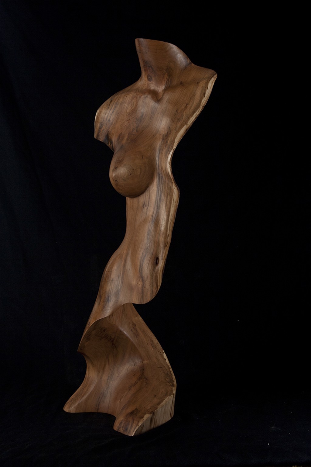 Caecilla by Chad Awalt