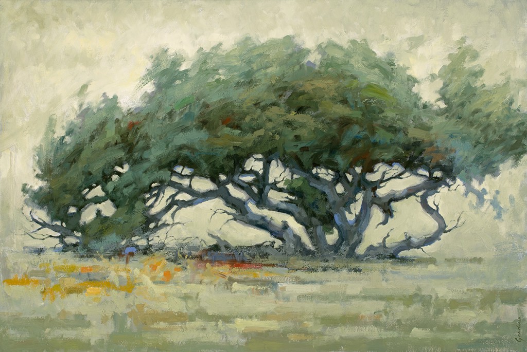 Blanca Pinyon by Terry Gardner