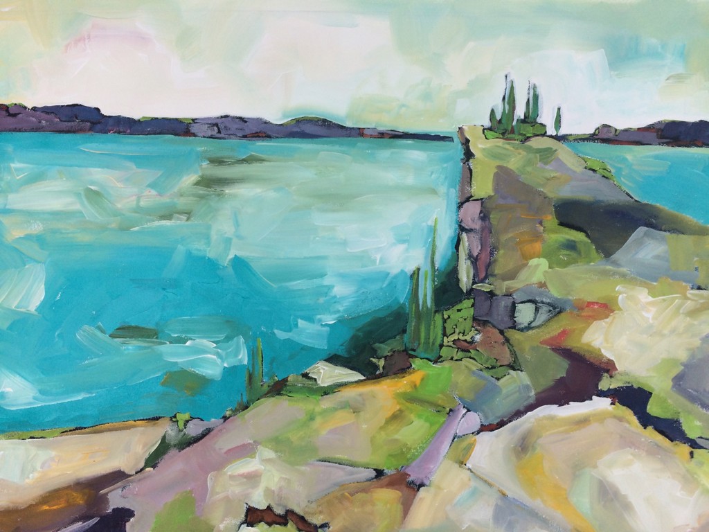 Scoville Point Lookout by Rachael Van Dyke