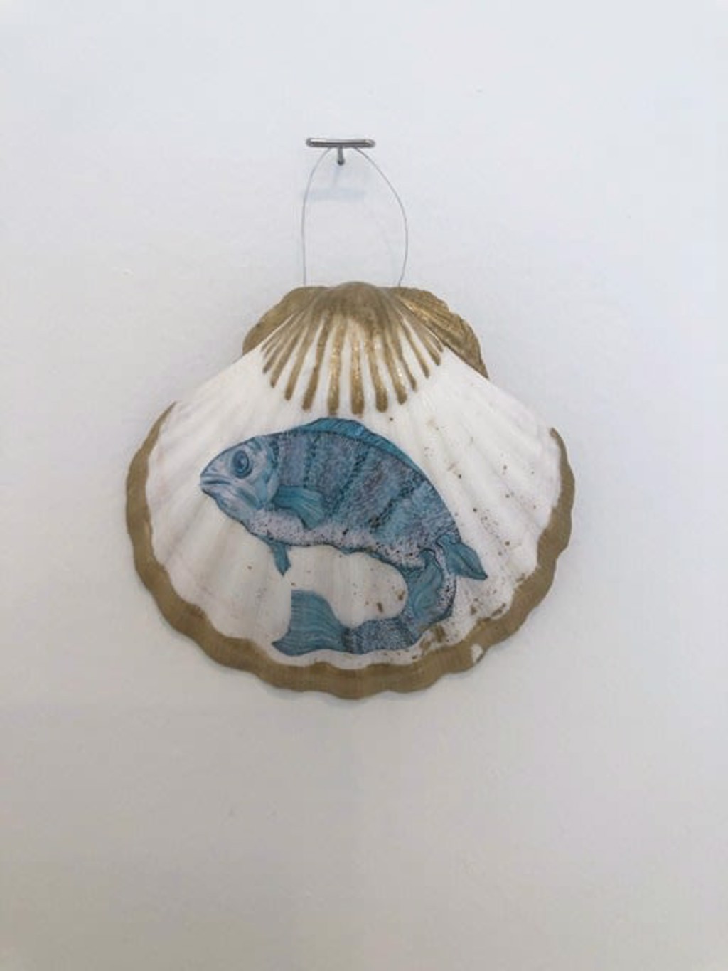 The House of Venus – Fish by Giulia Ronchetti