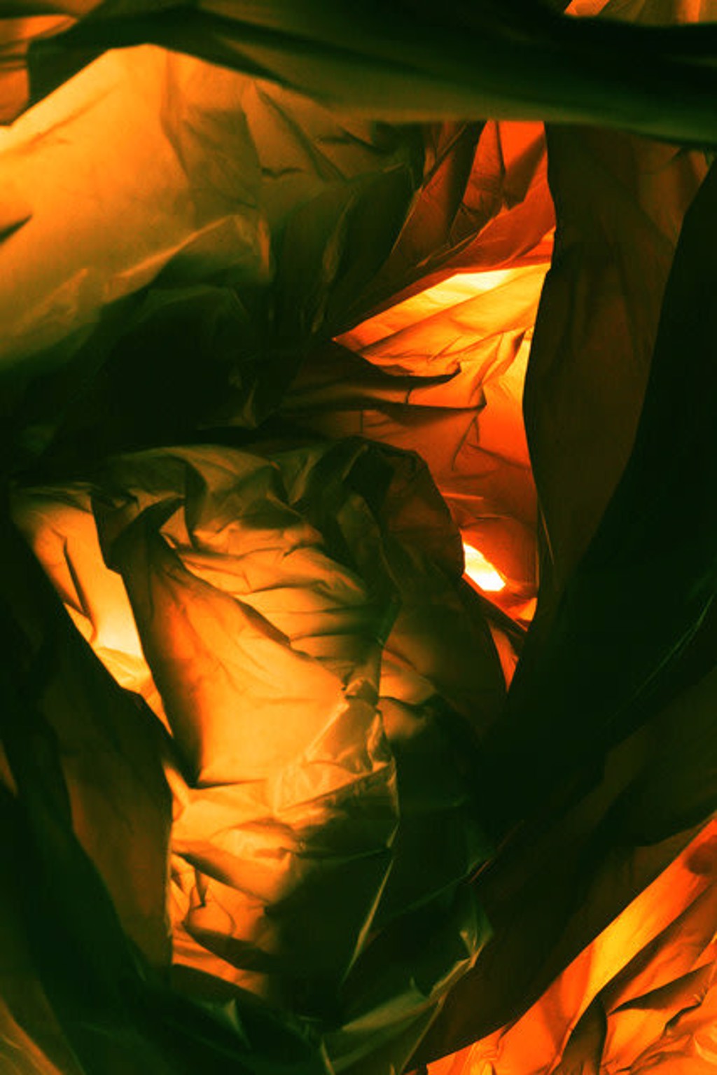 Gold Interior, Plastic Currents by Naomi White