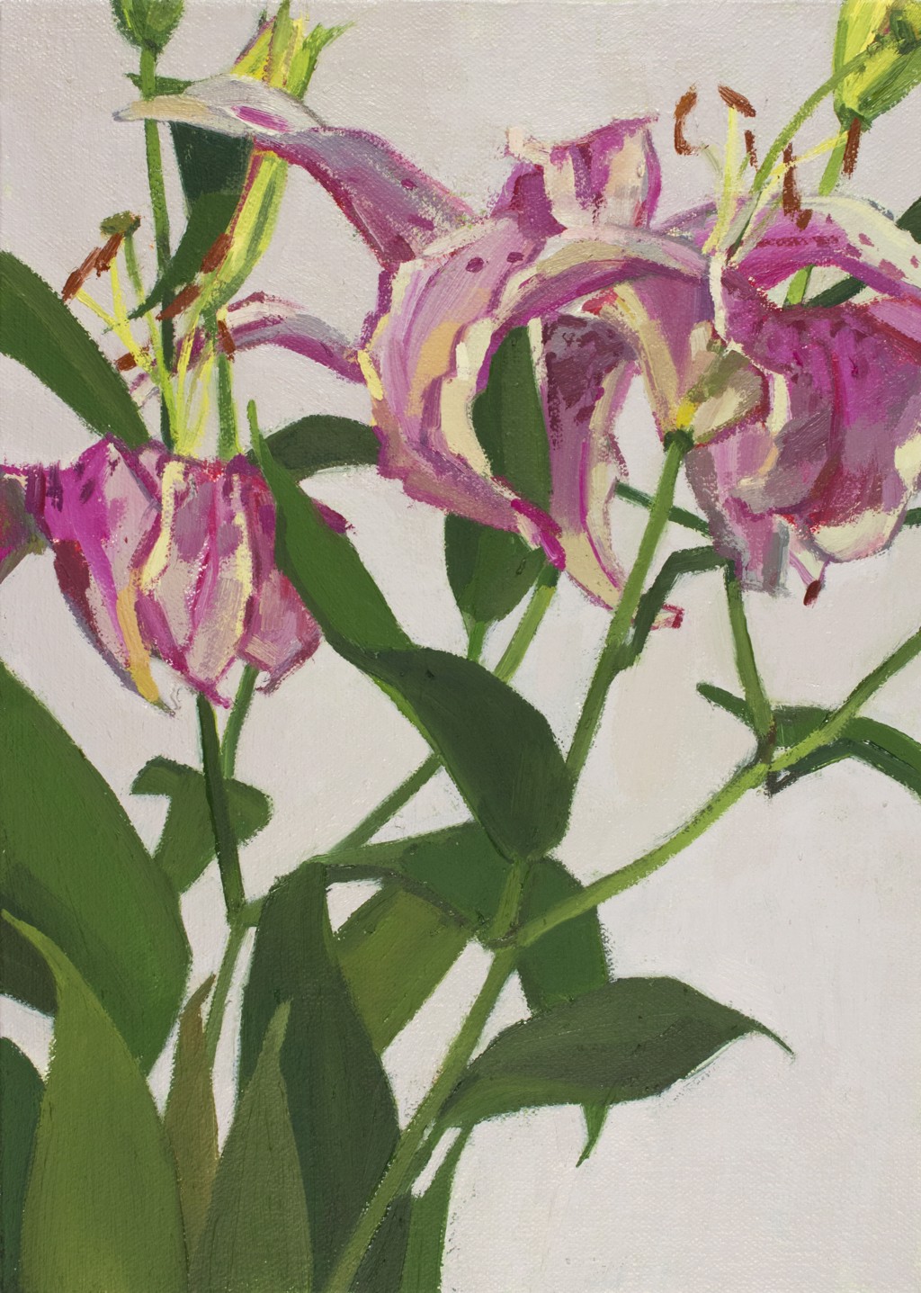 Blushing Lilies by Christina Renfer Vogel